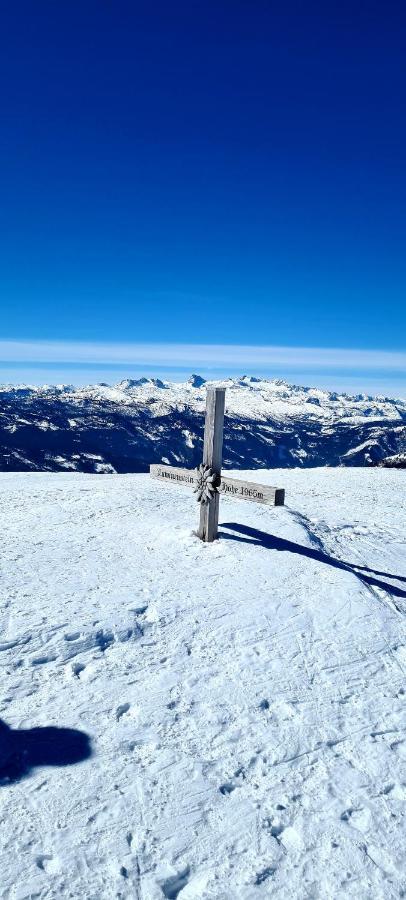 Ferienwohnungen Bergpanorama Bad Mitterndorf Ngoại thất bức ảnh