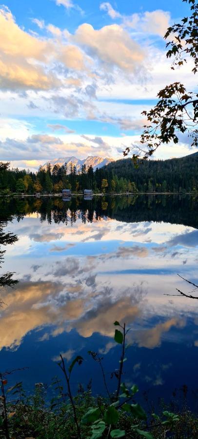 Ferienwohnungen Bergpanorama Bad Mitterndorf Ngoại thất bức ảnh