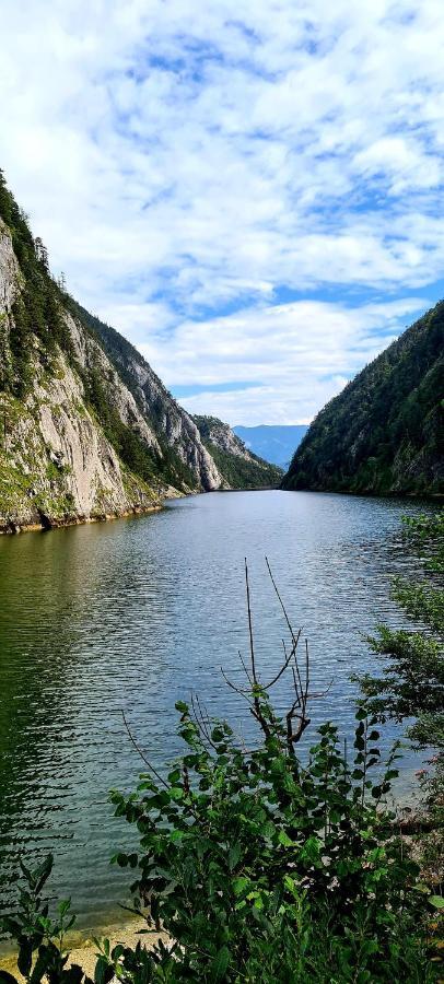 Ferienwohnungen Bergpanorama Bad Mitterndorf Ngoại thất bức ảnh