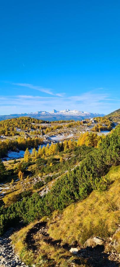 Ferienwohnungen Bergpanorama Bad Mitterndorf Ngoại thất bức ảnh