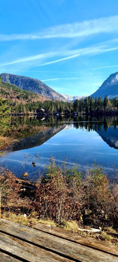Ferienwohnungen Bergpanorama Bad Mitterndorf Ngoại thất bức ảnh