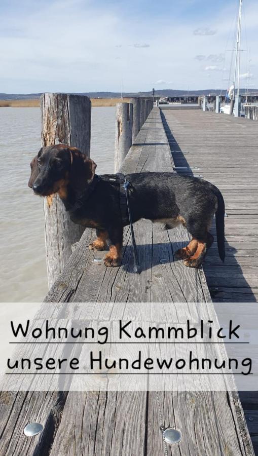 Ferienwohnungen Bergpanorama Bad Mitterndorf Ngoại thất bức ảnh